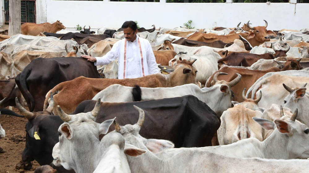 विकसित भारत का कृषि मॉडल: गौ-आधारित प्राकृतिक खेती और स्वस्थ जीवन