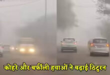 MP में कड़ाके की ठंड, पचमढ़ी सबसे ठंडा, नौगांव दूसरे नंबर पर, कोहरे से ट्रेनें प्रभावित