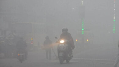 मध्य प्रदेश में ठंड का असर: 25 शहरों में पारा 10 डिग्री से कम, पचमढ़ी सबसे ठंडा