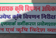 योगी सरकार की कोशिशों से झांसी के एफपीओ को मिली सफलता, खाद्यान्न और मसालों को मिला एगमार्क