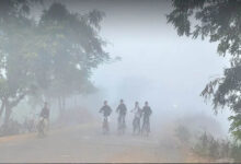 MP में कड़ाके की ठंड, पचमढ़ी में पारा 4.2°C पर, 25 शहरों में तापमान 10°C से नीचे; कई जिलों में घना कोहरा