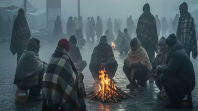 राजगढ़ बना सबसे ठंडा शहर, पारा 3.8°C पर, 16 जिलों में घना कोहरा, ट्रेनें लेट राजगढ़ बना सबसे ठंडा शहर, पारा 3.8°C पर, 16 जिलों में घना कोहरा, ट्रेनें लेट