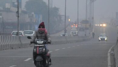 MP में कोल्ड वेव का कहर, बर्फीली हवाओं से बढ़ी कंपकंपी, कई जिलों में शीतलहर का अलर्ट MP में कोल्ड वेव का कहर, बर्फीली हवाओं से बढ़ी कंपकंपी, कई जिलों में शीतलहर का अलर्ट