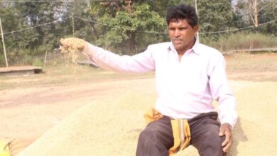 रायपुर : धान बिक्री से मिले पैसों से किसान जगतराम चौहान करेंगे बेटे की शादी रायपुर : धान बिक्री से मिले पैसों से किसान जगतराम चौहान करेंगे बेटे की शादी