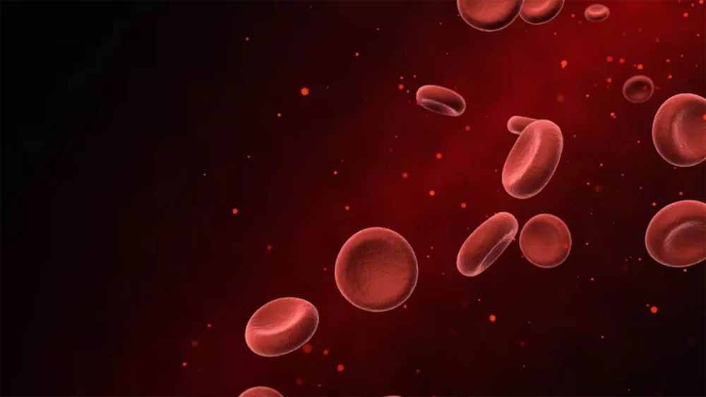 चिंताजनक रिपोर्ट: MP में हर दूसरा बच्चा और हर तीसरी महिला एनीमिया के खतरे में