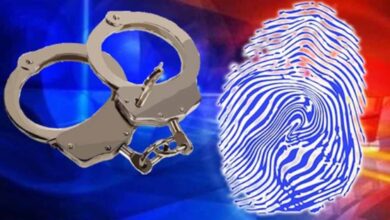 नोएडा पुलिस की बड़ी कार्रवाई: मोबाइल चोरी–स्नैचिंग गिरोह का पर्दाफाश, ₹2 करोड़ का इलेक्ट्रॉनिक सामान बरामद