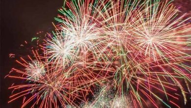 गोवा हादसे के बाद सख्ती: दिल्ली में क्रिसमस-न्यू ईयर पार्टियों में पटाखों पर पूरी तरह रोक गोवा हादसे के बाद सख्ती: दिल्ली में क्रिसमस-न्यू ईयर पार्टियों में पटाखों पर पूरी तरह रोक