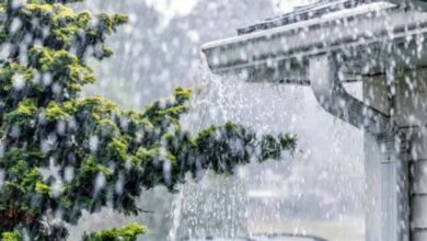 मौसम का बड़ा उलटफेर: अगले 48 घंटे आफ़त बनकर बरसेंगे बादल, कई राज्यों में भारी बारिश का अलर्ट