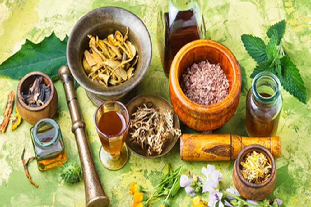 भृंगराज से त्रिफला तक: रूस में भारतीय आयुर्वेद की जबरदस्त एंट्री, बढ़ता वैश्विक भरोसा