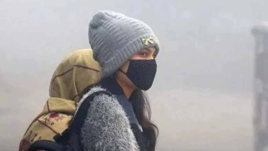 भोपाल–इंदौर समेत प्रदेश में सर्दी का सितम जारी, ठिठुरन से फिलहाल राहत नहीं