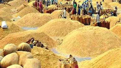 प्रदेश में अवैध भण्डारण, परिवहन एवं विक्रय करते हुए लगभग 1 लाख 52 हजार क्विंटल धान जब्त