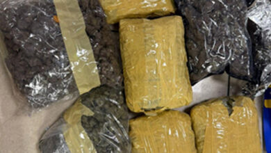 मुंबई एयरपोर्ट पर कस्टम्स का बड़ा ऑपरेशन, 33.42 किलो हाइड्रोपोनिक वीड जब्त