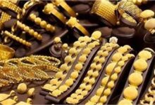 Gold Price Prediction 2029: 10 ग्राम सोना ₹3 लाख के पार! अमेरिकी अर्थशास्त्री ने किया बड़ा दावा