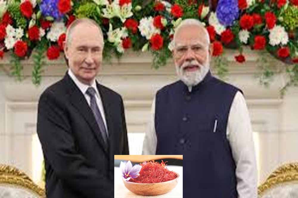 पीएम मोदी का पुतिन को तोहफा बना खास संदेश, कश्मीरी केसर से चमकी जम्मू-कश्मीर के किसानों की उम्मीद