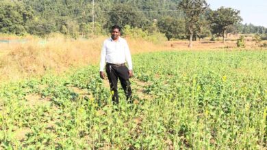प्रधानमंत्री धन-धान्य कृषि योजना ने बदली किसानों की किस्मत