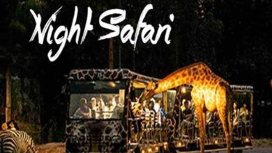 आज से बंद हुई नाइट सफारी: टाइगर रिज़र्व के बफ़र जोन में नया नियम लागू