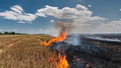 पराली जलाने में देश में सबसे आगे मध्य प्रदेश, किसानों को जागरूक करना बेअसर पराली जलाने में देश में सबसे आगे मध्य प्रदेश, किसानों को जागरूक करना बेअसर