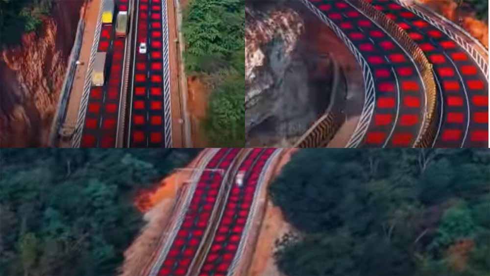 वन्यजीव संरक्षण में ऐतिहासिक कदम: मध्य प्रदेश के नेशनल हाईवे पर बनी भारत की पहली ‘रेड रोड’