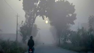 उत्तर भारत में कड़ाके की ठंड! दिल्ली में गिरा पारा, IMD ने जारी किया 48 घंटे का अलर्ट