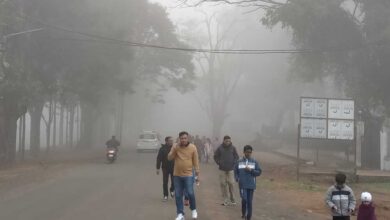 मध्य प्रदेश मौसम: 24 घंटे में नए सिस्टम का असर, पारा 3 डिग्री तक गिर सकता है, सर्दी बढ़ेगी – IMD का नया अपडेट