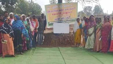 50 वर्षों बाद धमतरी के आदिवासी अंचल में रबी खेती की वापसी