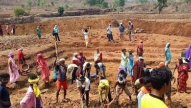 वीबी-जी राम-जी का सकारात्मक प्रभाव- आदिवासी एवं वनांचल बहुल गांवों में आजीविका का सशक्त नया अध्याय वीबी-जी राम-जी का सकारात्मक प्रभाव- आदिवासी एवं वनांचल बहुल गांवों में आजीविका का सशक्त नया अध्याय