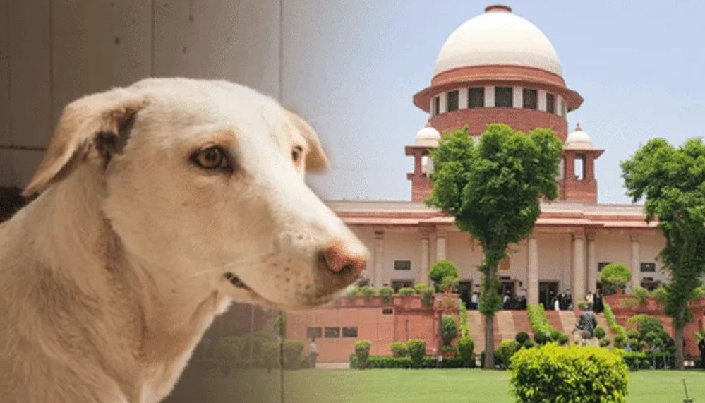 कुत्ते के काटने से मौत पर राज्य सरकार को सुप्रीम कोर्ट का आदेश, देना होगा भारी मुआवजा