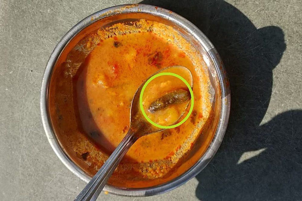 खंडवा: खाने में 3 इंच की इल्लियां, विरोध करने पर वार्डन ने कहा- तुम्हारी निजी बातें उजागर कर दूंगी