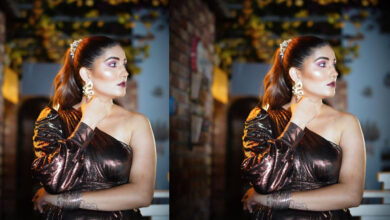 सपना चौधरी को हाईकोर्ट से मिली बड़ी राहत, पासपोर्ट मिलने का रास्ता हुआ साफ