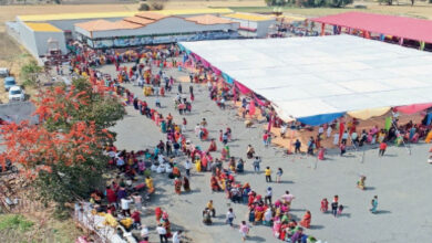 मकर संक्रांति पर कुबेरेश्वरधाम में भक्तों का उमड़ा सैलाब, शिव भोग के लिए बने 5100 तिल-गुड़ के लड्डू