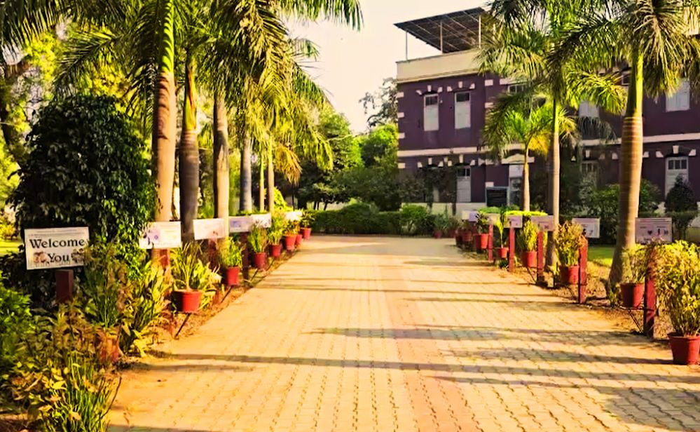 गुजरात का NRI गांव: 10 हजार की आबादी, अरबों का टर्नओवर, फिर भी नहीं एक भी पुलिस थाना