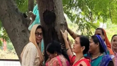 एमपी नगर में बनेगा नया खाद्य भवन, 50 साल पुराने 150 पेड़ काटने की योजना, करेंगे ‘चिपको आंदोलन’