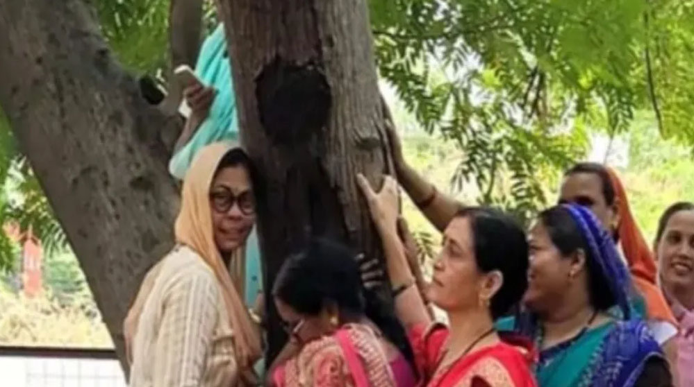 एमपी नगर में बनेगा नया खाद्य भवन, 50 साल पुराने 150 पेड़ काटने की योजना, करेंगे ‘चिपको आंदोलन’