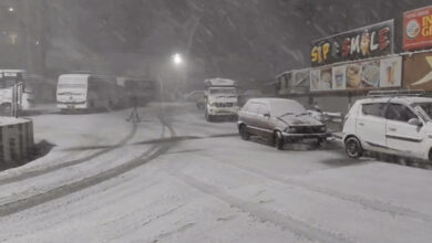 श्रीनगर से शिमला मनाली तक बर्फबारी, कश्मीर में 24 फ्लाइट्स रद्द, बर्फ से ढका कश्मीर और टूरिस्टों का उत्साह