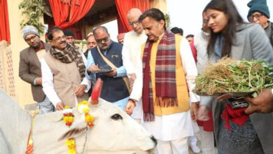 उप मुख्यमंत्री शुक्ल ने नववर्ष पर गौपूजन कर शुरू किया गोलोक दर्शन महोत्सव
