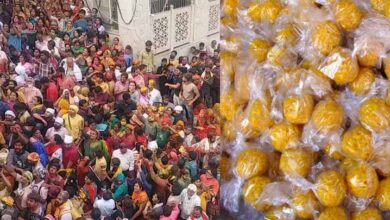 बरसाना में होली का रंगारंग आगाज़: 24 को लड्डू, 25 फरवरी को लठामार होली