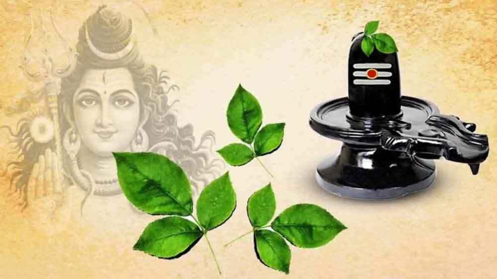 भगवान शिव को बेलपत्र क्यों है सबसे प्रिय? जानिए पौराणिक कथा और रहस्य भगवान शिव को बेलपत्र क्यों है सबसे प्रिय? जानिए पौराणिक कथा और रहस्य