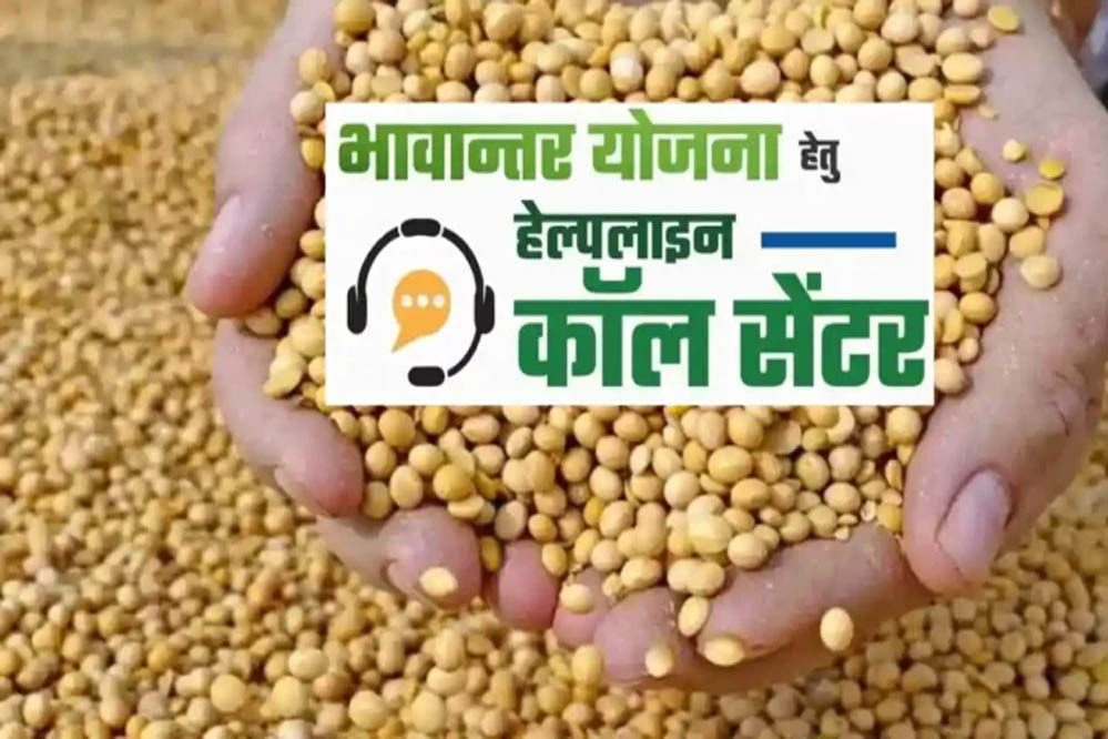 भावांतर योजना में सोयाबीन का मॉडल रेट 4458 रुपए जारी भावांतर योजना में सोयाबीन का मॉडल रेट 4458 रुपए जारी
