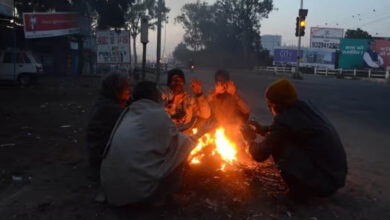 एमपी में कड़ाके की ठंड, उमरिया में रिकॉर्ड तोड़ा; भोपाल, इंदौर और ग्वालियर में स्कूलों की छुट्टी