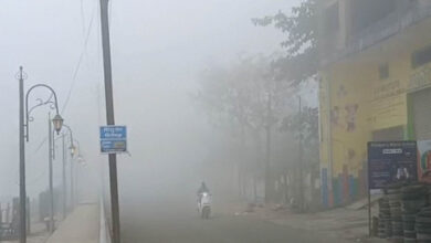 छत्तीसगढ़ के 18 जिलों में शीतलहर का अलर्ट, अंबिकापुर में पारा 3.5°C, हिमालयी हवाओं से बढ़ी कंपकंपी