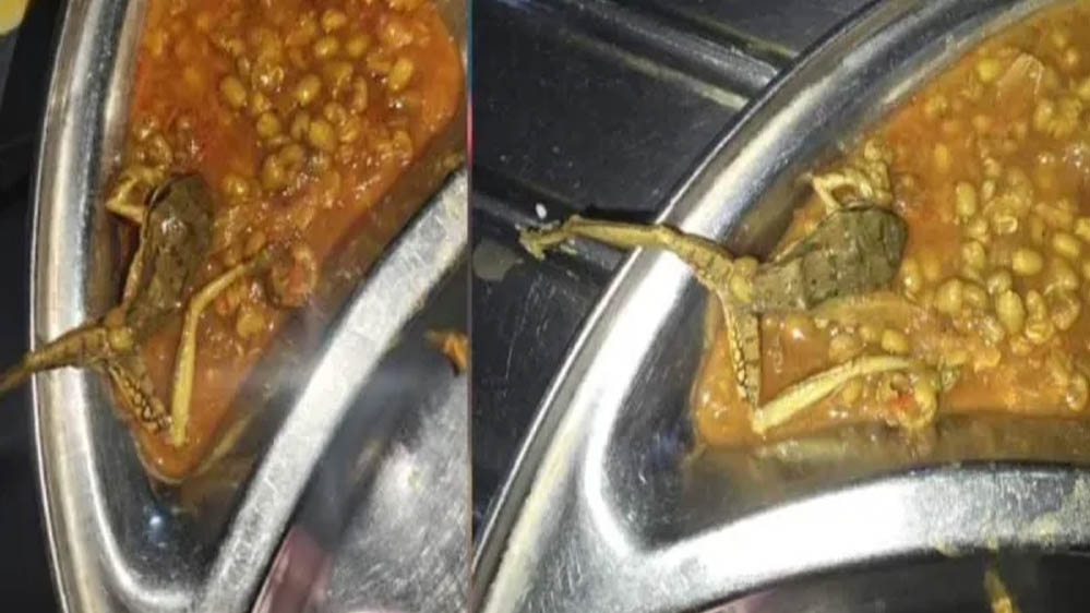 मेस के खाने में निकला मरा मेंढक और कीड़े-मकोड़े, डेंटल कॉलेज में गंभीर लापरवाही का खुलासा