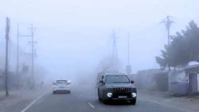 मध्य प्रदेश में ठंड का डबल अटैक: कोहरे के साथ शीतलहर, दिन भी रात की तरह ठंडे