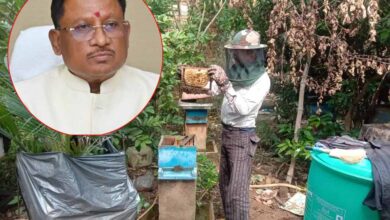 CG News: साय सरकार में खेती के साथ मधुमक्खी पालन बनीं उदय राम की रोजगार की कुंजी, कृषि विज्ञान केंद्र से लिया था प्रशिक्षण