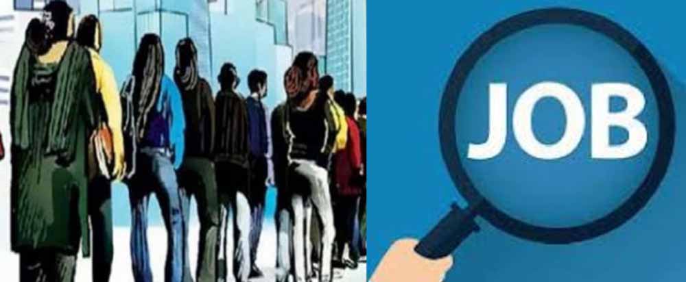 रायपुर में तीन दिन चलेगा राज्य स्तरीय रोजगार मेला, सरकार के ‘हाथ में रोजगार’ के फैसले से युवा खुश