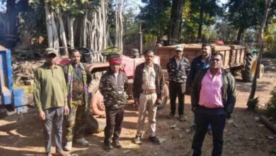 अवैध उत्खनन में संलिप्त 2 ट्रैक्टर जब्त, वन अमले ने गश्त के दौरान की कार्रवाई