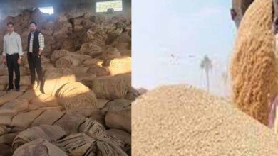 राइस मिलों में जिला प्रशासन की बड़ी कार्रवाई, 1.77 करोड़ का अवैध धान किया जब्त