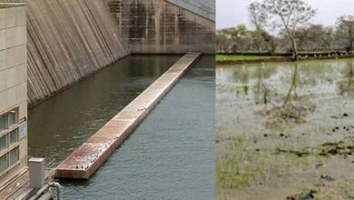 रबी फसल के लिए जलाशय से छोड़ा गया पानी, महासमुंद के किसानों को मिलेगी राहत