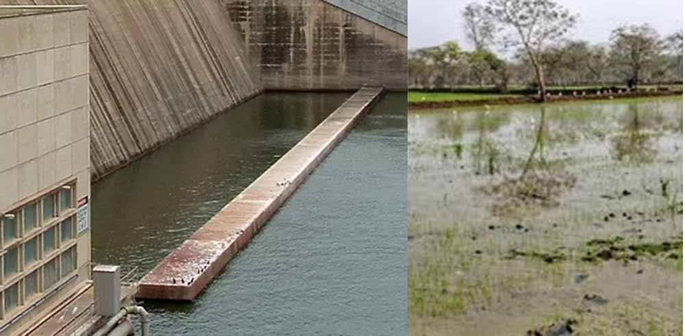 रबी फसल के लिए जलाशय से छोड़ा गया पानी, महासमुंद के किसानों को मिलेगी राहत