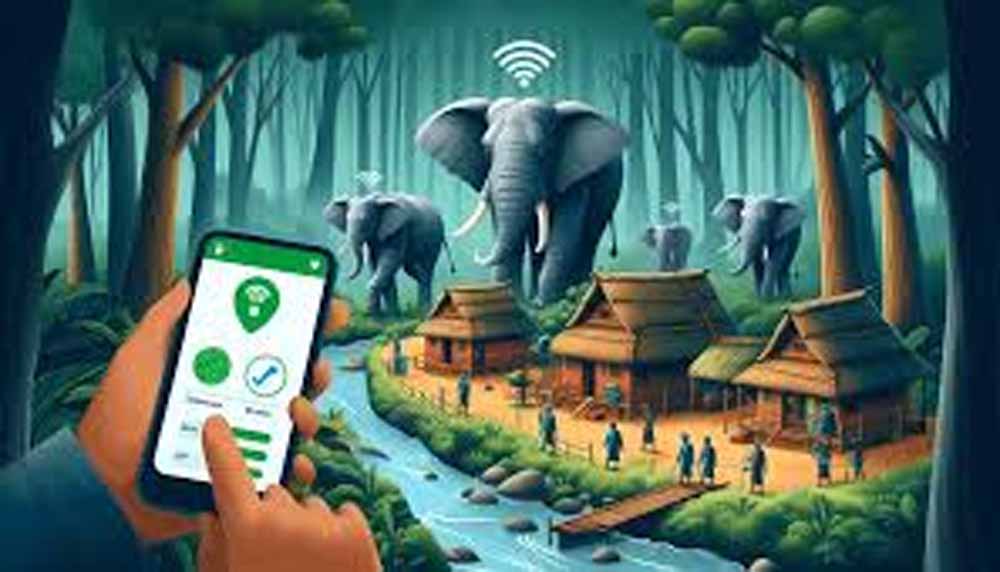 गरियाबंद को मानव-हाथी द्वंद्व रोकने पर मिला मुख्यमंत्री उत्कृष्ट पुरस्कार, एलिफेंट ट्रैकिंग अलर्ट एप बना मददगार