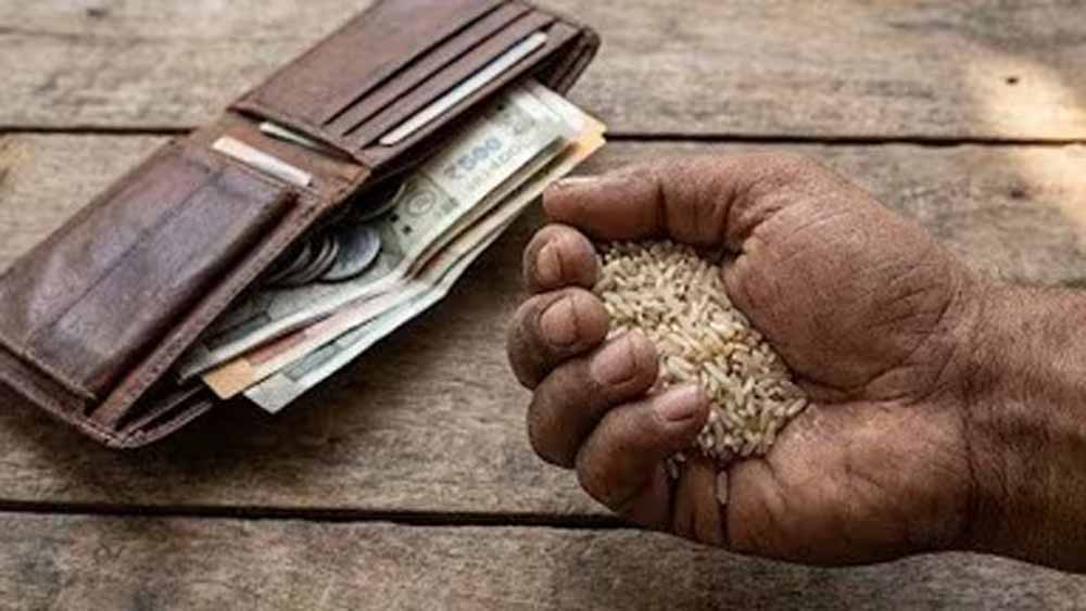 मुठ्ठी भर चावल से दूर होगी पैसों से जुड़ी दिक्कत, फेंगशुई का जान लें आसान सा उपाय